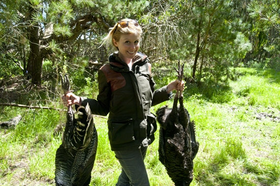 Turkey Hunting in Sonoma