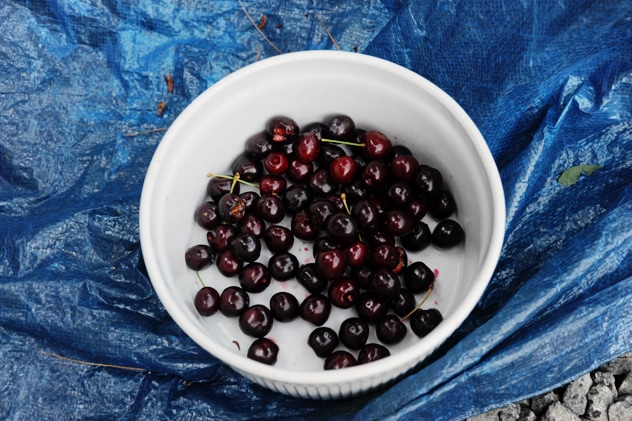 How to Make a Homemade Cherry Picker