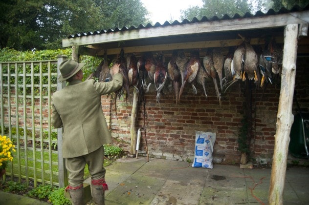 Tips for Field Dressing Game Birds, Part 2