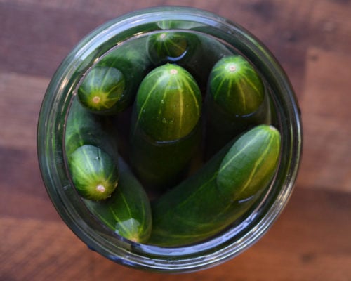 The Best Fall Gourmet Pickles Recipe