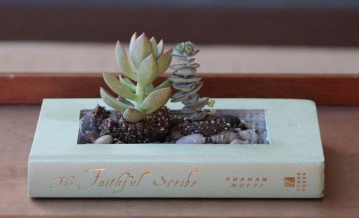 DIY Homemade Gift Ideas for The Plant Obsessed