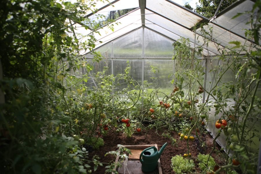 How to Turn Your Raised Bed into a Greenhouse
