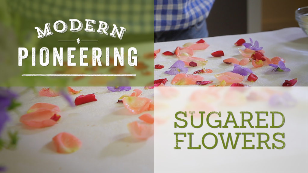 Sugared Flowers